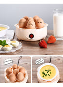 Multi Functional Electric Boiler/غلاية كهربائية متعددة الوظائف